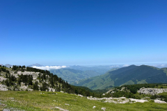 IMG-20250626-WA0235
