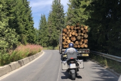 Die Holzwirtschaft grüßt
